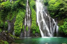 Tanah Lot and North Bali Tour All Inclusive