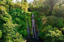 Tanah Lot and North Bali Tour All Inclusive