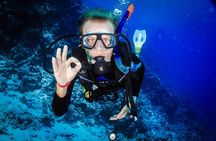 Diving in Hurghada for Beginners With Lunch and Transfer