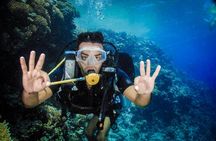 Diving in Hurghada for Beginners With Lunch and Transfer