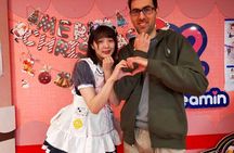  Pick the Hours That Suit You In A Flexible Tokyo Guided Tour