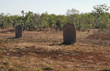 Litchfield Premium Day Tour, 10 guests only, lunch included