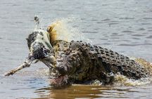 3Day Culture & Wildlife Safari: Tarangire,Ngorongoro & Lake Eyasi