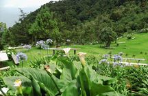 Ecotourism El Pital the highest point in the country Private Tour