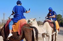 Agafay Desert Tour show,dinner with Camel Ride or Quad biking