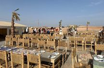 Agafay Desert Tour show,dinner with Camel Ride or Quad biking