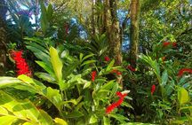 Puerto Plata City Tour with the Mount Isabel, Rum & Chocolate