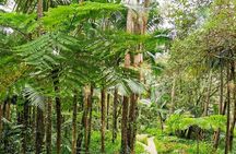 Puerto Plata City Tour with the Mount Isabel, Rum & Chocolate