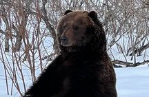 Wildlife Conservation Center and Portage Glacier Lake Viewing 