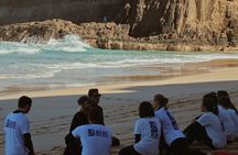 Surf Experience in Corralejo