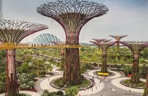 Singapore 4-Hour Private Discovery Tour