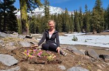 Galactic Origins Mount Shasta Tour