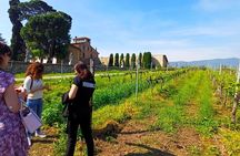 Lake Iseo & Franciacorta Winery. Scenic & Wine Tasting tour