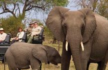 Kruger National Park 3 Day Private Safari From Johannesburg 