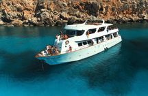 DREAM of TURTLES - Luxury Yacht Cruise - BBQ meal - 1 free drink