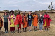  Full Day Private Nairobi Wildlife & Cultural Expedition