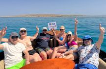 Half Day Private Speedboat Dolphin House & Giftun Island_Hurghada