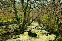 Central Lakes Villages (8 hours, Public)