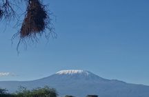 6 Days Private Tour in Mt Kenya Circuit Wild Safari