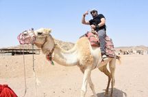 8 days Egypt adventure Cairo cruise and Hurghada 