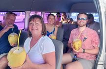 Shared Island Tour with Lunch & Admissions