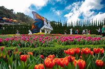 Ba Na Hills & Golden Bridge with Fantasy Park Tour-Optional Lunch