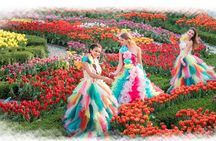 Ba Na Hills & Golden Bridge with Fantasy Park Tour-Optional Lunch