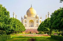 From Delhi: 7-Days Tiger Safari & Golden Triangle Tour