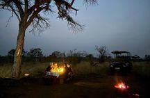 Safari Game Drive and Dinner in the Bush near Hoedspruit