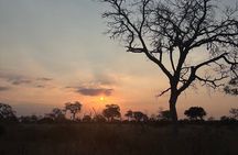 Safari Game Drive and Dinner in the Bush near Hoedspruit