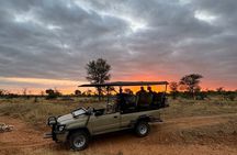 Safari Game Drive and Dinner in the Bush near Hoedspruit