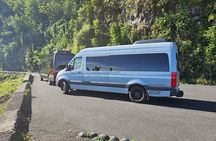 Road to Hana Adventure with Farm to Table Lunch in Town of Hana
