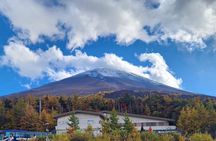Mt. FUji and Cherry Blossom Day Trip with English Speaking Driver