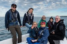 Sydney Harbour Whale Watching Private Tour - up to 8 guests