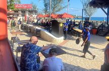 Negril Private 7 Miles Beach and Ricks Cafe Tour from Montego Bay