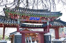 Nami Island, Petite France, Rail Bike & Painters Show Day Tour