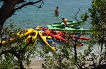 Rina Cave Sea Kayak Tour with Snorkeling and Picnic