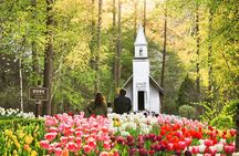 Nami Island& Petite France& Garden of Morning Calm& Italian Village One-Day Tour