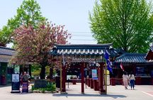 Nami Island & Petite France & Garden of Morning Calm Day Tour