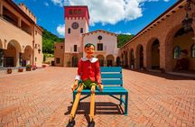 Nami Island, Petite France and Garden of Morning tour from Seoul