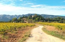 Aix-en-Provence Half Day Wine Tour with Picnic & Pétanque