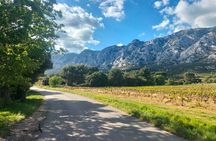 Aix-en-Provence Half Day Wine Tour with Picnic & Pétanque