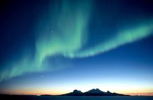 Northern Lights Tours Bodo Norway