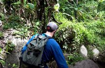 8KM White Water Rafting and 3HRS Jungle Trekking Adventure