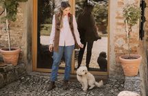 Montevecchio Isolani wine tasting experience
