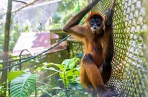 Full Day Volunteer at Wildlife Sanctuary