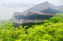 Kyoto Private Tour: 1350 Years of History, Hotspots & Hidden Gems