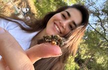 Beekeeping experience " Areti Honey " 