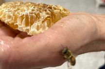 Beekeeping experience " Areti Honey " 