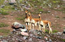 Full Day - Rainbow Mountain tour - Group Service